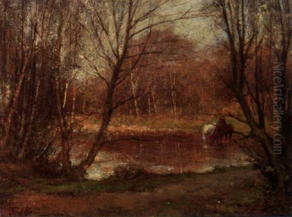 Burnham Beeches - view 1