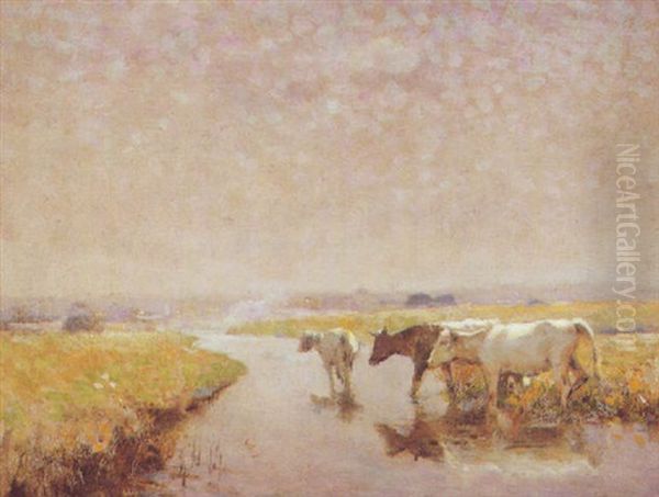 Cattle Watering - view 1
