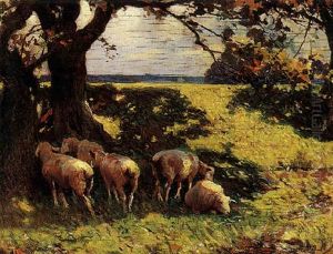 Sheep In The Shade