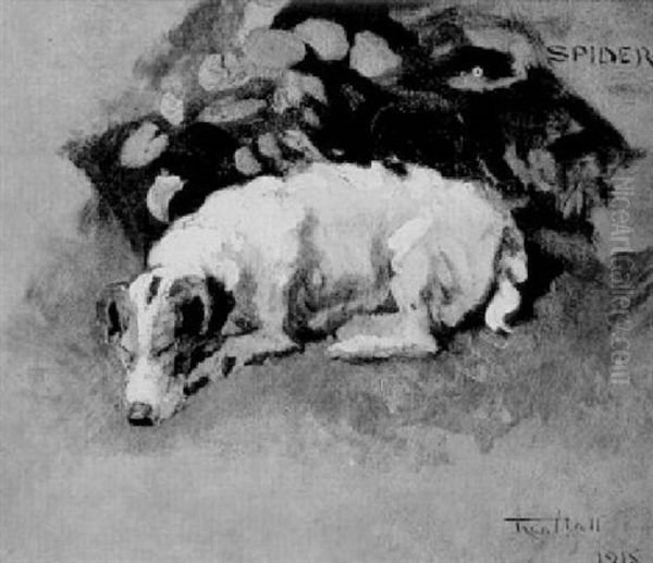 " Spider" Asleep - view 1