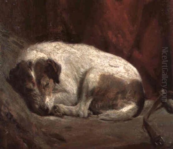 A Sleeping Fox Terrier - view 1