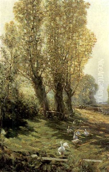 Geese By The Road - view 1