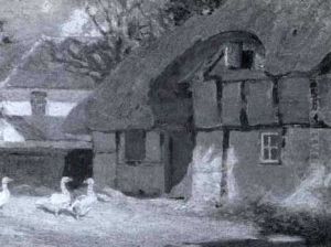 Geese By A Thatched Cottage Geese By A Thatched Cottage