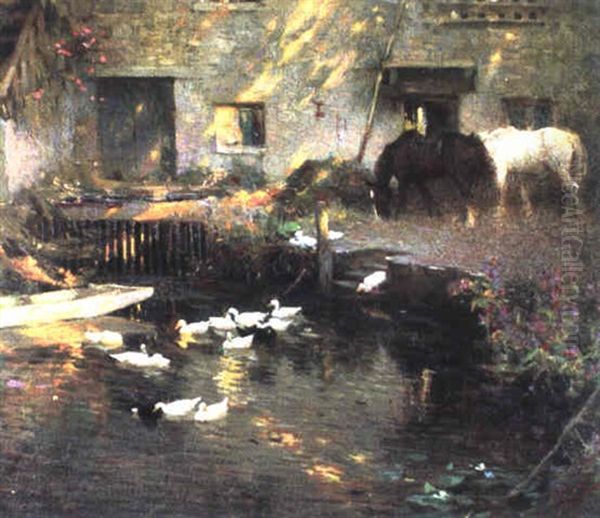 The Pond - view 1