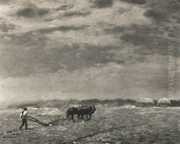 Ploughing The Fields - view 1