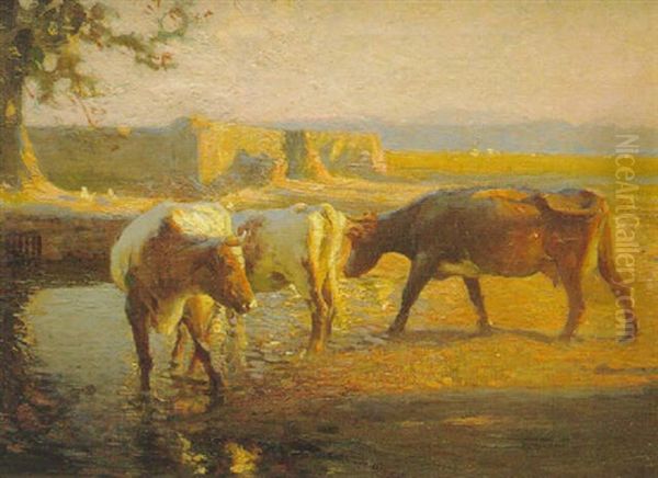 The Horse Pond - view 1