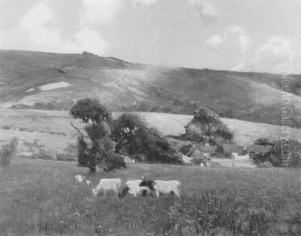 Sussex Downs Near Storrington - view 1