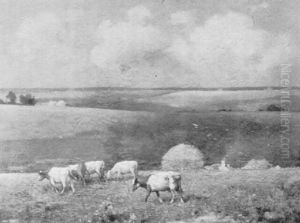 Cattle Grazing On A Summer Hillside