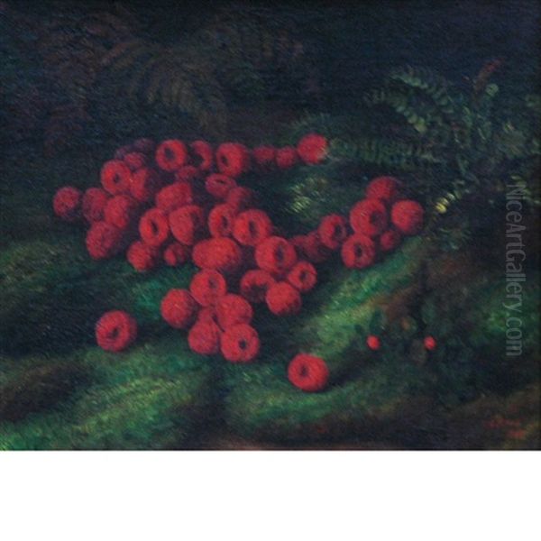 Raspberries - view 1