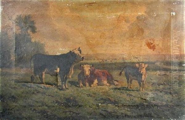 Cattle In Pasture - view 1