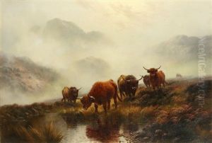 Morning Mists And Highland Rovers