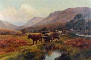 Highland Cattle In A Valley Highland Cattle In A Valley
