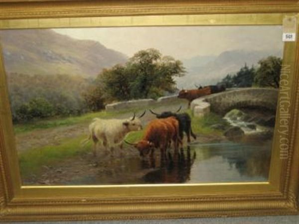 Highland Cattle Near Callander - view 1