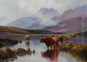 Highland Cattle, Loch Lomond, Sowing The Cobbles