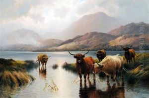 Loch Ness, Early Morning, Highland Cattle Drinking