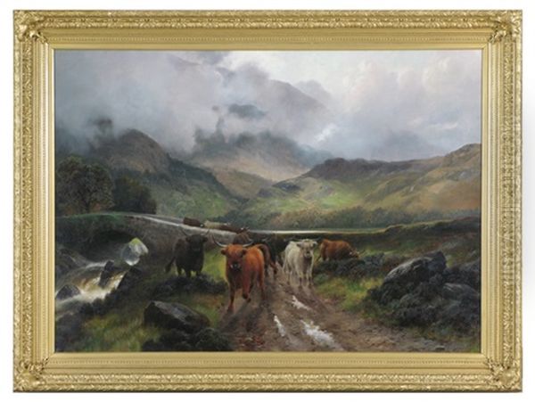 Highland Cattle Moving Downward From Gathering Storm - view 1