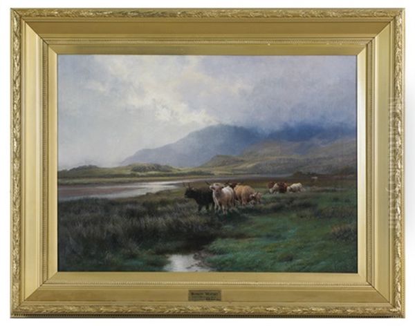 Showery Weather - Highland Cattle Crossing A Marsh - view 1