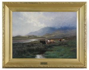 Showery Weather - Highland Cattle Crossing A Marsh by Harald R. Hall