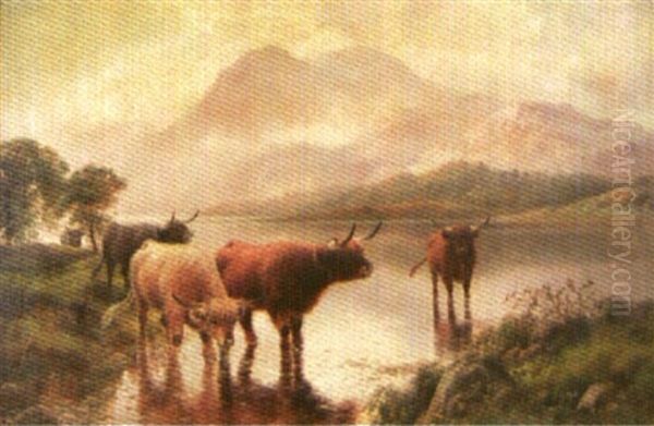 Highland Cattle Drinking, Loch Katrine, Mountains In The Distance - view 1