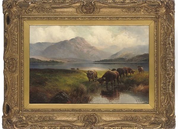 Highland Cattle, Loch Venachar, Perthshire - view 1