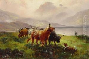 Highland Cattle Highland Cattle