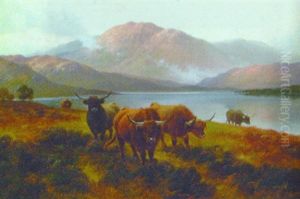 Moorland Roamers, Loch Long N.b. Moorland Roamers, Loch Long N.b.