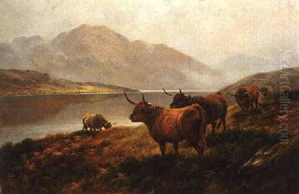 Highland Cattle By A Loch - view 1