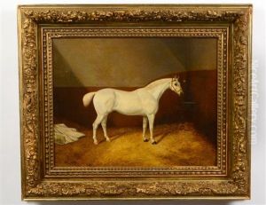 Portrait Of A White Stallion Rw by Harry Hall