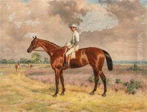 Rennpferd L.c. Liddell Und Sein Jockey