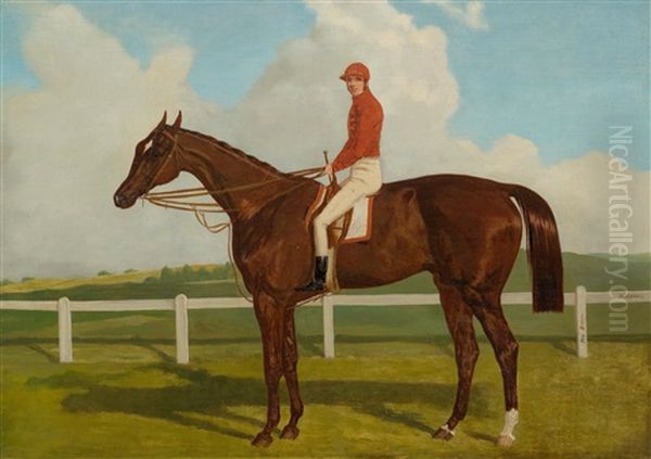 A Horse With Jockey - The Baron - view 1