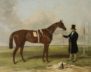 Cossack, Winner Of The Derby Cossack, Winner Of The Derby