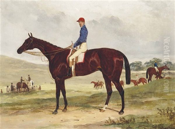 Bay Racehorse With Jockey Up - view 1