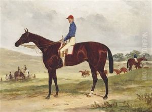 Bay Racehorse With Jockey Up