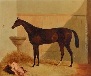 The Hunter Satterly In A Stable