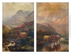 Highland Cattle (2 Works)