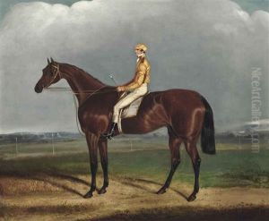 'galaor', With Jockey Up