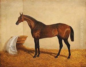 A Horse In A Stall