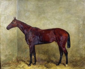 Newmarket - Study Of A Horse