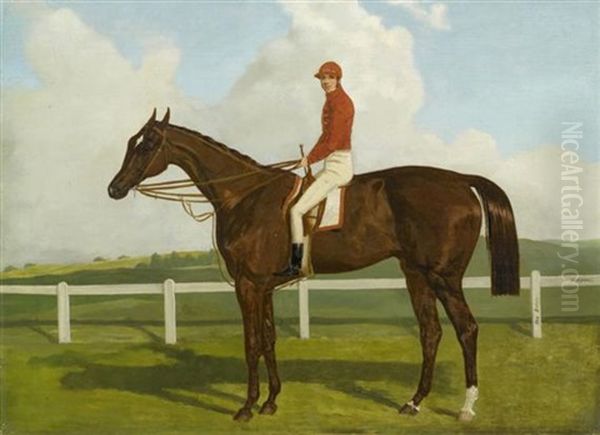 Pferd Mit Jockey - view 1