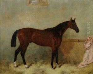 Starter A Chestnut Mare by Harry Hall