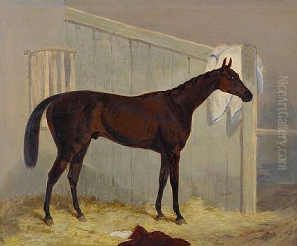 "peep-o-day Boy" (+ Major H. Pitt's "mounseer"; Pair) - view 1