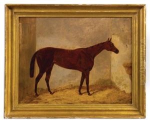 "jouvence", Winner Of The French Derby, The Oaks, And The Goodwood Cup