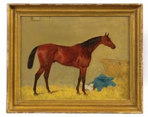 "hawthornden" With Cat In A Stable, Property Of Mr. T.v. Morgan Of Chelsea
