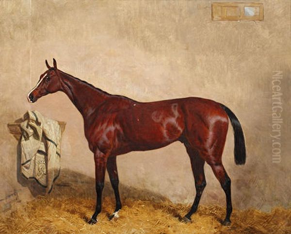 North Lincoln, A Bay Horse In A Stable - view 1