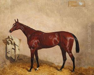 North Lincoln, A Bay Horse In A Stable