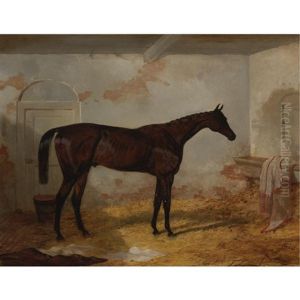 Mr. A.w. Hill's Bay Colt "sweetmeat" In A Loose Box