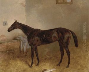 A Groomed Bay Mare With Ears Pricked by Harry Hall