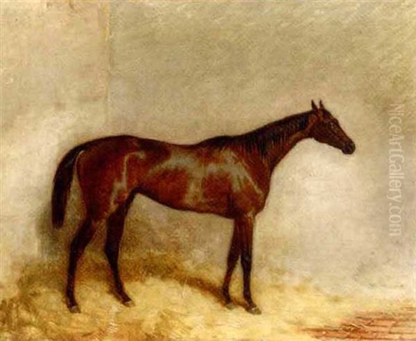 "etoile Du Nord" In His Stable - view 1