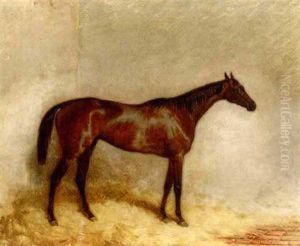 "etoile Du Nord" In His Stable "etoile Du Nord" In His Stable