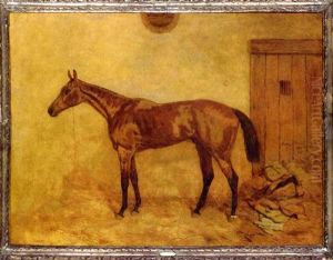 Mr. James R. Keene's "foxhall" In A Stable Mr. James R. Keene's "foxhall" In A Stable